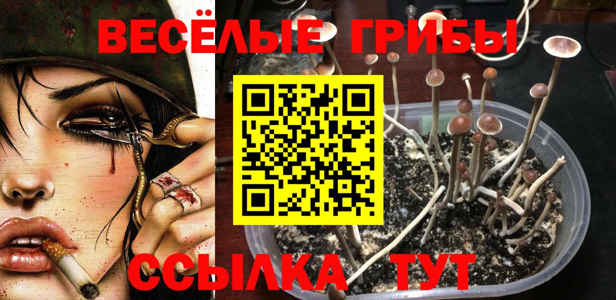 Ижевск  хочу   Вход с VPN  Галлюциногенные грибы ЛСД  Псилоцибиновые грибы Cubensis 